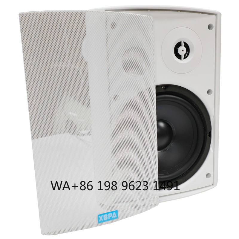 5.1 Kabelloses WLAN-Wand- und  – Home Theater Speaker Bewertung und Preis