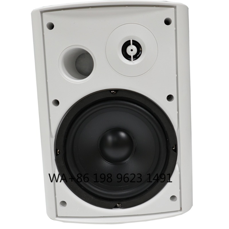 5.1 Kabelloses WLAN-Wand- und  – Home Theater Speaker Bewertung und Preis