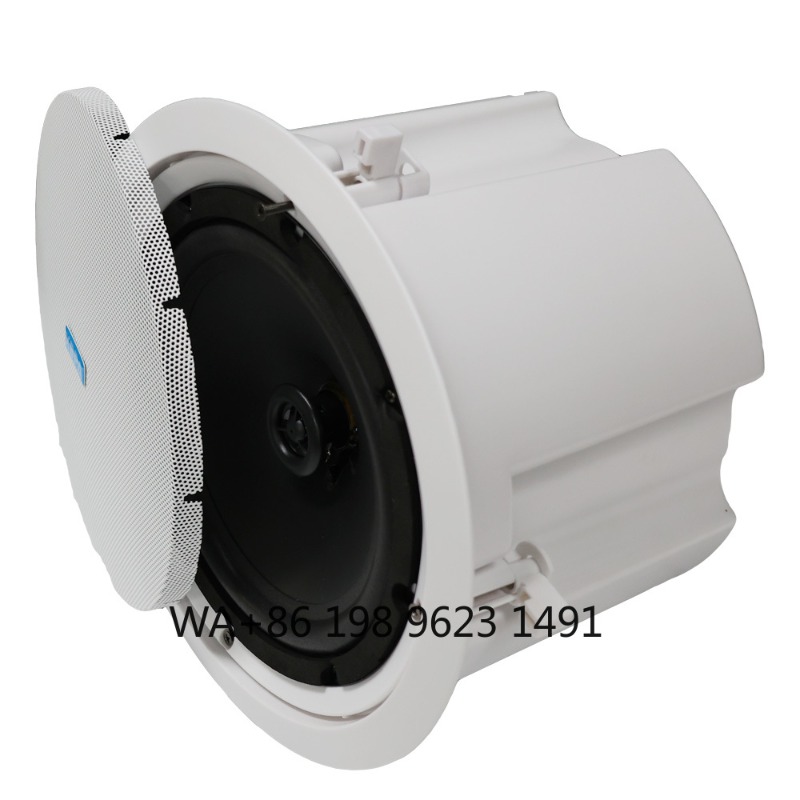 5.1 Kabelloses WLAN-Wand- und  – Home Theater Speaker Bewertung und Preis